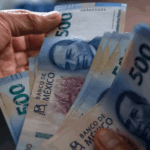 ¿Qué factores determinan el ahorro en los hogares mexicanos?